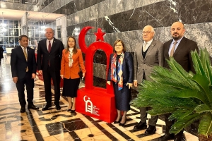 Kültürel Miras Enstitüsü, vakıf olarak hizmet verebilecek
